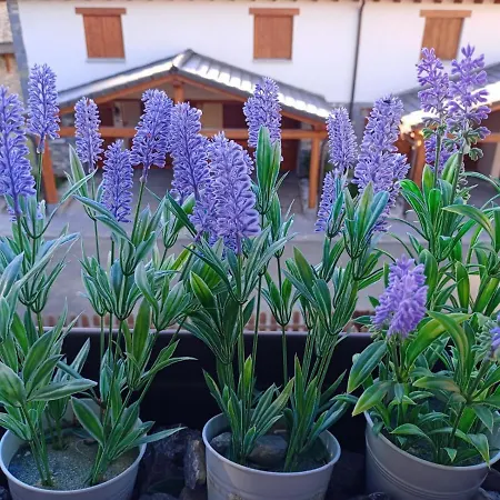 Appartement Pico La Selva Villanúa