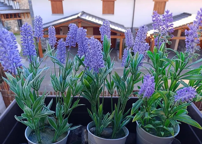 Apartmán Pico La Selva Villanúa